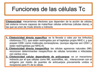 Funciones de las células Tc Citotoxicidad : mecanismos efectores que dependen de la acción de células del sistema inmune capaces de matar/lisar células enfermas (células diana), a las que se unen de modo directo o indirecto  1. Citotoxicidad directa específica : es la llevada a cabo por los linfocitos citotóxicos (TC), que están restringidos por el haplotipo propio MHC-I, y que poseen CD8+ como moléculas correceptoras. (aunque algunas son CD4+ y están restringididas por MHC-II)  2. Citotoxicidad directa inespecífica : las células agresoras naturales (NK) reconocen determinantes inespecíficos de células tumorales o infectadas con ciertos virus.  3. Citotoxicidad celular dependiente de anticuerpos : es un mecanismo indirecto por el que células como NK, eosinófilos, etc., interaccionan con el antígeno por medio de puentes de anticuerpos previamente unidos a receptores para Fc de la célula.  