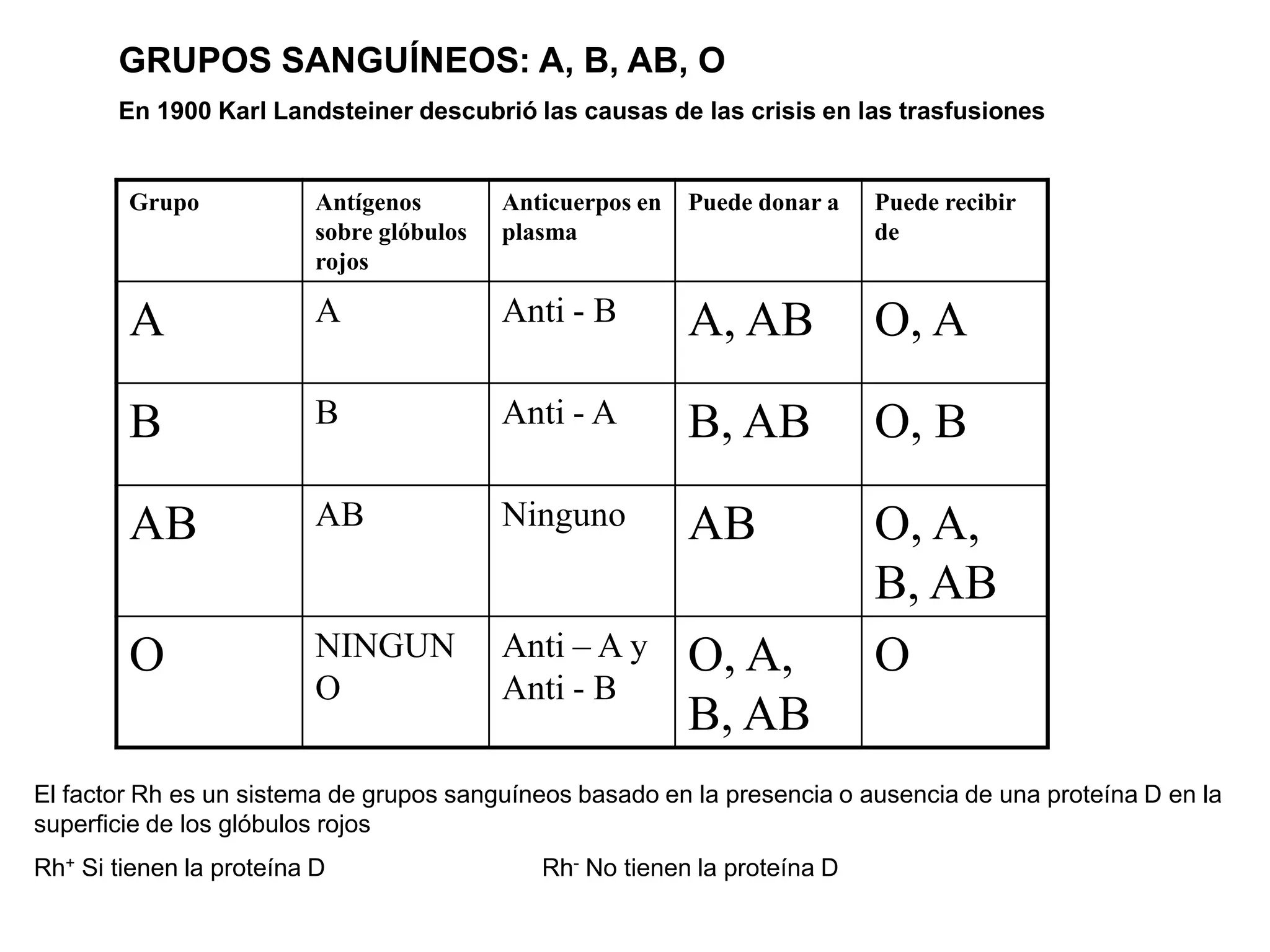GRUPOS SANGUÍNEOS: A, B, AB, O
En 1900 Karl Landsteiner descubrió las causas de las crisis en las trasfusiones
El factor Rh es un sistema de grupos sanguíneos basado en la presencia o ausencia de una proteína D en la
superficie de los glóbulos rojos
Rh+ Si tienen la proteína D Rh- No tienen la proteína D
Grupo Antígenos
sobre glóbulos
rojos
Anticuerpos en
plasma
Puede donar a Puede recibir
de
A A Anti - B A, AB O, A
B B Anti - A B, AB O, B
AB AB Ninguno AB O, A,
B, AB
O NINGUN
O
Anti – A y
Anti - B
O, A,
B, AB
O
 