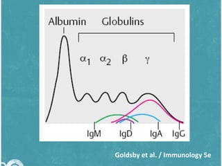 Goldsby et al. / Immunology 5e

 