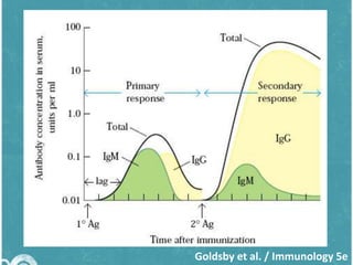 Goldsby et al. / Immunology 5e

 