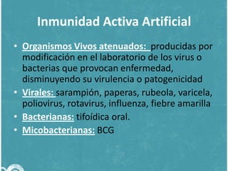 Inmunidad Activa Artificial
• Organismos Vivos atenuados: producidas por
modificación en el laboratorio de los virus o
bacterias que provocan enfermedad,
disminuyendo su virulencia o patogenicidad
• Virales: sarampión, paperas, rubeola, varicela,
poliovirus, rotavirus, influenza, fiebre amarilla
• Bacterianas: tifoídica oral.
• Micobacterianas: BCG

 