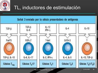 TL, inductores de estimulación




         Martin Villarroel Mareño MD   25/03/2013   10
 