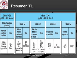 Resumen TL




       Martin Villarroel Mareño MD   25/03/2013   14
 