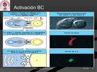 Activación BC




        Martin Villarroel Mareño MD   25/03/2013   18
 