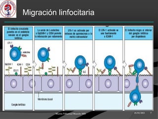 Migración linfocitaria




          Martin Villarroel Mareño MD   25/03/2013   7
 