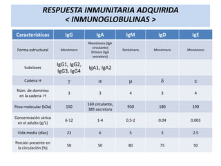 RESPUESTA INMUNITARIA ADQUIRIDA
< INMUNOGLOBULINAS >
Características

IgG

IgA

IgM

IgD

IgE

Forma estructural

Monómero

Monómero (IgA
circulante)
Dímero (IgA
secretora)

Pentámero

Monómero

Monómero

Subclases

IgG1, IgG2,
IgG3, IgG4

IgA1, IgA2

Cadena H

g

a

m

d

e

Núm. de dominios
en la cadena H

3

3

4

3

4

Peso molecular (kDa)

150

160 circulante,
385 secretora

950

180

190

Concentración sérica
en el adulto (g/L)

6-12

1-4

0.5-2

0.04

0.003

Vida media (días)

23

6

5

3

2.5

Porción presente en
la circulación (%)

50

50

80

75

50

 