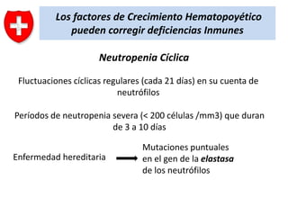 Los factores de Crecimiento Hematopoyético
pueden corregir deficiencias Inmunes
Neutropenia Cíclica
Fluctuaciones cíclicas regulares (cada 21 días) en su cuenta de
neutrófilos
Períodos de neutropenia severa (< 200 células /mm3) que duran
de 3 a 10 días
Enfermedad hereditaria

Mutaciones puntuales
en el gen de la elastasa
de los neutrófilos

 