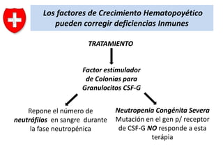Los factores de Crecimiento Hematopoyético
pueden corregir deficiencias Inmunes
TRATAMIENTO

Factor estimulador
de Colonias para
Granulocitos CSF-G
Repone el número de
neutrófilos en sangre durante
la fase neutropénica

Neutropenia Congénita Severa
Mutación en el gen p/ receptor
de CSF-G NO responde a esta
terápia

 