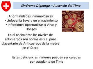 Sindrome Digeorge – Ausencia del Timo
Anormalidades inmunológicas:
• Linfopenia Severa en el nacimiento
• Infecciones oportunistas x Virus y
Hongos
En el nacimiento los niveles de
anticuerpos son normales x el paso
placentario de Anticuerpos de la madre
en el útero

Estas deficiencias inmunes pueden ser curadas
por trasplante de Timo

 