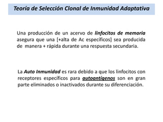 Teoría de Selección Clonal de Inmunidad Adaptativa

Una producción de un acervo de linfocitos de memoria
asegura que una [+alta de Ac específicos] sea producida
de manera + rápida durante una respuesta secundaria.

La Auto Inmunidad es rara debido a que los linfocitos con
receptores específicos para autoantígenos son en gran
parte eliminados o inactivados durante su diferenciación.

 
