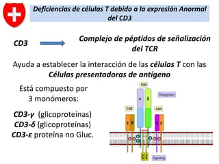 Deficiencias de células T debido a la expresión Anormal
del CD3

CD3

Complejo de péptidos de señalización
del TCR

Ayuda a establecer la interacción de las células T con las
Células presentadoras de antígeno
Está compuesto por
3 monómeros:
CD3-γ (glicoproteínas)
CD3-δ (glicoproteínas)
CD3-ε proteína no Gluc.

 