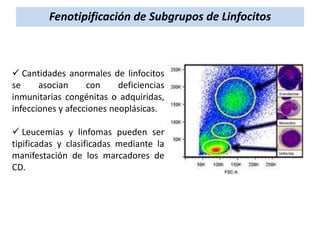 Fenotipificación de Subgrupos de Linfocitos

 Cantidades anormales de linfocitos
se
asocian
con
deficiencias
inmunitarias congénitas o adquiridas,
infecciones y afecciones neoplásicas.
 Leucemias y linfomas pueden ser
tipificadas y clasificadas mediante la
manifestación de los marcadores de
CD.

 