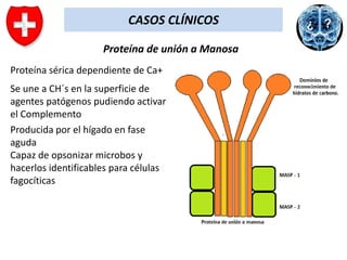 CASOS CLÍNICOS
Proteína de unión a Manosa
Proteína sérica dependiente de Ca+
Se une a CH´s en la superficie de
agentes patógenos pudiendo activar
el Complemento
Producida por el hígado en fase
aguda
Capaz de opsonizar microbos y
hacerlos identificables para células
fagocíticas

 