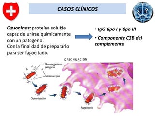CASOS CLÍNICOS
Opsoninas: proteína soluble
capaz de unirse químicamente
con un patógeno.
Con la finalidad de prepararlo
para ser fagocitado.

• IgG tipo I y tipo III
• Componente C3B del
complemento

 