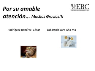 Por su amable
atención… Muchas Gracias!!!
Rodríguez Ramírez César

Labastida Lara Ana Ma

 