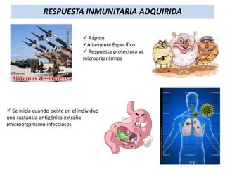 RESPUESTA INMUNITARIA ADQUIRIDA
 Rápido
Altamente Específico
 Respuesta protectora vs
microorganismos

 Se inicia cuando existe en el individuo
una sustancia antigénica extraña
(microorganismo infeccioso).

 