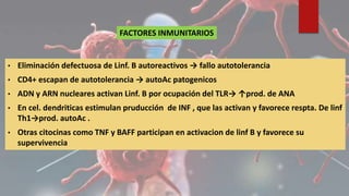 • Eliminación defectuosa de Linf. B autoreactivos → fallo autotolerancia
• CD4+ escapan de autotolerancia → autoAc patogenicos
• ADN y ARN nucleares activan Linf. B por ocupación del TLR→ ↑prod. de ANA
• En cel. dendriticas estimulan pruducción de INF , que las activan y favorece respta. De linf
Th1→prod. autoAc .
• Otras citocinas como TNF y BAFF participan en activacion de linf B y favorece su
supervivencia
FACTORES INMUNITARIOS
 
