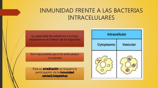 Inmunidad frente a bacterias