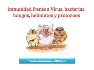 Inmunidad frente a Virus, bacterias, hongos, helmintos y protozoos Virna Melissa Covarrubias Meléndrez 