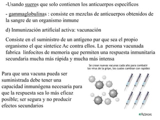 -Usando sueros que solo contienen los anticuerpos específicos
- gammaglobulinas : consiste en mezclas de anticuerpos obtenidos de
la sangre de un organismo inmune
d) Inmunización artificial activa: vacunación
Consiste en el suministro de un antígeno par que sea el propio
organismo el que sintetice Ac contra ellos. La persona vacunada
fabrica linfocitos de memoria que permiten una respuesta inmunitaria
secundaria mucha más rápida y mucha más intensa
Para que una vacuna pueda ser
suministrada debe tener una
capacidad inmunógena necesaria para
que la respuesta sea lo más eficaz
posible; ser segura y no producir
efectos secundarios
 
