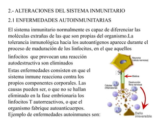 2.- ALTERACIONES DEL SISTEMA INMUNITARIO
2.1 ENFERMEDADES AUTOINMUNITARIAS
El sistema inmunitario normalmente es capaz de diferenciar las
moléculas extrañas de las que son propias del organismo.La
tolerancia inmunológica hacia los autoantígenos aparece durante el
proceso de maduración de los linfocitos, en el que aquellos
linfocitos que provocan una reacción
autodestructiva son eliminados
Estas enfermedades consisten en que el
sistema inmune reacciona contra los
propios componentes corporales. Las
causas pueden ser, o que no se hallan
eliminado en la fase embrionaria los
linfocitos T autorreactivos, o que el
organismo fabrique autoanticuerpos.
Ejemplo de enfermedades autoinmunes son:
 