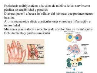 Escleriosis múltiple afecta a la vaina de mielina de los nervios con
pérdida de sensibilidad y parálisis
Diabetes juvenil afecta a las células del páncreas que produce menos
insulina
Artritis reumatoide afecta a articulaciones y produce inflamación e
inmovilidad
Miastenia gravis afecta a receptores de acetil-colina de los músculos
Debilitamiento y parálisis muscular
 
