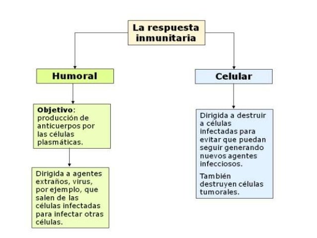 Inmunidad inespecífica