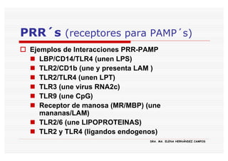 PRR´s (receptores para PAMP´s)
 Ejemplos de Interacciones PRR-PAMP
    LBP/CD14/TLR4 (unen LPS)
    TLR2/CD1b (une y presenta LAM )
    TLR2/TLR4 (unen LPT)
    TLR3 (une virus RNA2c)
    TLR9 (une CpG)
    Receptor de manosa (MR/MBP) (une
    mananas/LAM)
    TLR2/6 (une LIPOPROTEINAS)
    TLR2 y TLR4 (ligandos endogenos)
                                 DRA. MA. ELENA HERNÁNDEZ CAMPOS
 