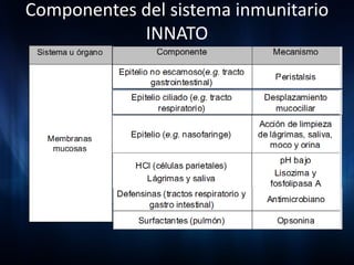 Componentes del sistema inmunitario
            INNATO
 