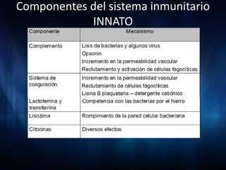 Componentes del sistema inmunitario
            INNATO
 