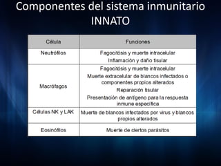 Componentes del sistema inmunitario
            INNATO
 