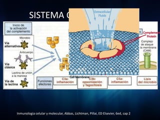 SISTEMA COMPLEMENTO




Inmunologia celular y molecular, Abbas, Lichtman, Pillai, ED Elsevier, 6ed, cap 2
 