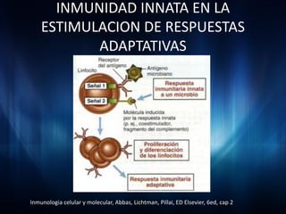 INMUNIDAD INNATA EN LA
    ESTIMULACION DE RESPUESTAS
           ADAPTATIVAS




Inmunologia celular y molecular, Abbas, Lichtman, Pillai, ED Elsevier, 6ed, cap 2
 