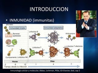 INTRODUCCION
• INMUNIDAD (immunitas)




  Inmunologia celular y molecular, Abbas, Lichtman, Pillai, ED Elsevier, 6ed, cap 2
 
