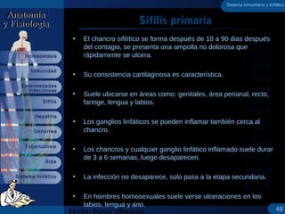 Marlon Burga Villalobos
Sistema linfático
Sífilis
Inmunidad
Homeostasis
Hepatitis
Gonorrea
Tuberculosis
Sida
Enfermedades
...