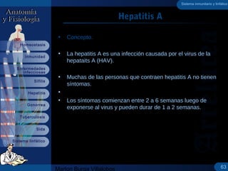 Marlon Burga Villalobos
Sistema linfático
Sífilis
Inmunidad
Homeostasis
Hepatitis
Gonorrea
Tuberculosis
Sida
Enfermedades
...