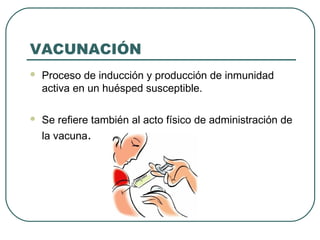 VACUNACIÓN


Proceso de inducción y producción de inmunidad
activa en un huésped susceptible.



Se refiere también al acto físico de administración de
la vacuna.

 