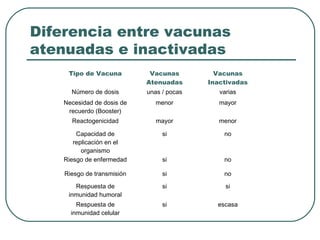 Diferencia entre vacunas
atenuadas e inactivadas
Tipo de Vacuna

Vacunas
Atenuadas

Vacunas
Inactivadas

Número de dosis

unas / pocas

varias

Necesidad de dosis de
recuerdo (Booster)

menor

mayor

Reactogenicidad

mayor

menor

Capacidad de
replicación en el
organismo
Riesgo de enfermedad

si

no

si

no

Riesgo de transmisión

si

no

Respuesta de
inmunidad humoral

si

si

Respuesta de
inmunidad celular

si

escasa

 