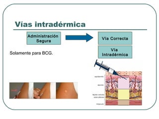 Vías intradérmica
Administración
Administración
Segura
Segura

Solamente para BCG.

Vía Correcta
Vía Correcta
Vía
Vía
Intradérmica
Intradérmica

 