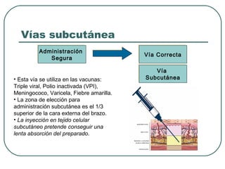 Vías subcutánea
Administración
Administración
Segura
Segura

• Esta vía se utiliza en las vacunas:
Triple viral, Polio inactivada (VPI),
Meningococo, Varicela, Fiebre amarilla.
• La zona de elección para
administración subcutánea es el 1/3
superior de la cara externa del brazo.
• La inyección en tejido celular
subcutáneo pretende conseguir una
lenta absorción del preparado.

Vía Correcta
Vía Correcta
Vía
Vía
Subcutánea
Subcutánea

 
