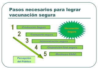 Pasos necesarios para lograr
vacunación segura

 