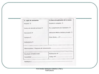 Prof Amalia Slobayen-Cátedra II Ped y
Puericultura

 