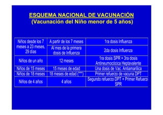 ESQUEMA NACIONAL DE VACUNACIÓN
        (Vacunación del Niño menor de 5 años)


Niños desde los 7 A partir de los 7 meses           1ra dosis Influenza
meses a 23 meses, Al mes de la primera
     29 días        dosis de Influenza              2da dosis Influenza
                                                1ra dosis SPR + 3ra dosis
 Niños de un año          12 meses           Antineumocócica Heptavalente
Niños de 15 meses   15 meses de edad         Una dosis de Vac. Antiamarílica
Niños de 18 meses 18 meses de edad (***)     Primer refuerzo de vacuna DPT
                                         Segundo refuerzo DPT + Primer Refuerzo
 Niños de 4 años         4 años                            SPR
 