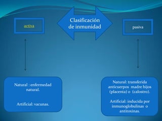 Clasificación
     activa             de inmunidad                  pasiva




                                           Natural: transferida
Natural : enfermedad                    anticuerpos madre hijos
      natural.                           (placenta) o (calostro).

                                        Artificial: inducida por
 Artificial: vacunas.                    inmunoglobulinas o
                                              antitoxinas.
 