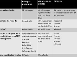 ENF QUE            VIA DE ADMON        ESQUEMA
                          PREVIENE           Y DOSIS


bacterium bovis)          TB meníngea        Intradérmica en     RN, hasta 14 semana. en no
                                             región deltoides    vacunados Posterior a los 14 c
                                             bzo dcho. dosis     sea necesario.
                                             0.1ml
perficie del virus de     Hepatitis B        Intramuscular cara 3 dosis RN
                                             antero lateral del 2 meses
                                             muslo, dosis 0.5ml 6 meses
o Sabin)                  Poliomielitis      Vía oral 2 gotas    Adicional

tánico, 3 antígeno de B. Toxoide Diftérico Intramuscular         4 dosis
l polio (tipo y cepa MEF- Toxoide Tetánico cara antero lateral   2 meses
 ido capsular             Toxoide          del muslo dosis       4 meses
                                           0.5ml                 6 meses
                          Pertusico
                                                                 18 meses
                          Polio SALK.
                          H. Influenza.
                          Influenza tipo B
nica purificadas, células Difteria           IM profunda
 
