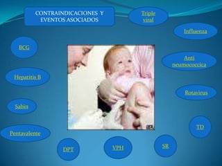 CONTRAINDICACIONES Y         Triple
           EVENTOS ASOCIADOS            viral

                                                         Influenza

   BCG
                                                         Anti
                                                     neumococcica

 Hepatitis B

                                                         Rotavirus

  Sabin


                                                             TD
Pentavalente

                                 VPH            SR
                  DPT
 