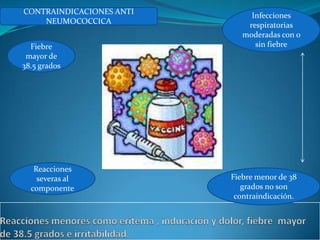 CONTRAINDICACIONES ANTI        Infecciones
    NEUMOCOCCICA              respiratorias
                             moderadas con o
  Fiebre                        sin fiebre
 mayor de
38.5 grados




   Reacciones
    severas al            Fiebre menor de 38
  componente                 grados no son
                           contraindicación.
 
