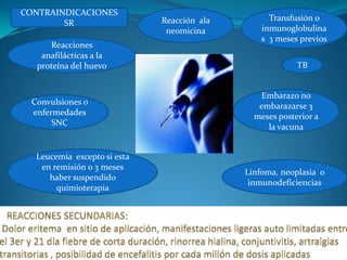 CONTRAINDICACIONES
                              Reacción ala         Transfusión o
        SR
                               neomicina         inmunoglobulina
                                                 s 3 meses previos
      Reacciones
    anafilácticas a la
   proteína del huevo                                     TB


                                                Embarazo no
  Convulsiones o                                embarazarse 3
  enfermedades                                 meses posterior a
       SNC                                        la vacuna


   Leucemia excepto si esta
    en remisión o 3 meses
                                             Linfoma, neoplasia o
      haber suspendido
                                              inmunodeficiencias
        quimioterapia
 