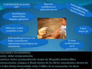 CONTRAINDICACIONES                      Reacción
       DPT                           anafiláctica en
                                    aplicación previa
      Encefalopatía
       dentro 8 días
    después aplicación


 Niños con 6 años                                                      Fiebre
 cumplidos o mas                                                      mayor 38

   Enfermedad grave con o sin
   fiebre, convulsiones                                     El daño
   /alteraciones neurológicas sin                       cerebral previo
   tratamiento                                               no la
                                                         contraindica
 