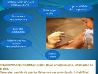 CONTRAINDICACIONES
   PENTAVALENTE                     Hipersensibilida
                     Fiebre mayor   d al componente
                        de 38.5
    Tratamiento
  inmunosupresor


      Pacientes
   transfundidos


Pacientes que han
     recibido
inmunoglobulinas

                         Esperar
                         3 meses
 